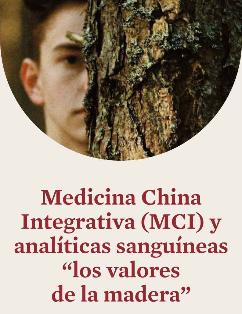Seminario Interpretación Analítica - Madera